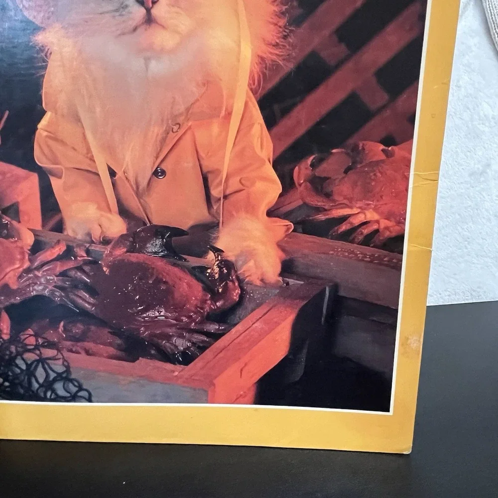 Vintage Cat Folders Stuart Hall 1993 Kittens Animal School Supplies 90s Retro